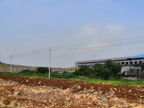 食品廠斥資自建紙板廠 從包裝創新到成本控制的全鏈條戰略